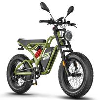 Elektrinis kalnų dviratis FAFREES F20 Ultra 20  750W variklis Pilna amortizacija Ebike 48V 25AH Maksimalus nuotolis 140Km Didžiausias greitis 45Km/h Hydraulic Brakes žalia