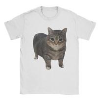 Oiia Oiia Dynamic Cat Model Tshirt Fun Brainrot Cotton Top Fan Gift Printed Tshirt Unisexs Casual Street Style 2XL white