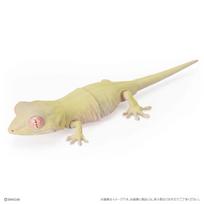 Tikra populiarumo gacha biologinė enciklopedija Japoninis gekonas Barzdotasis agama veiksmo figūrėlės modelis Puikūs žaislai black