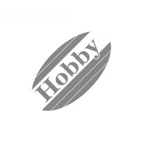 Automobilių Hobi Grafikos Lipdukai Kemperiui Arklių Vežimėliui Karavanui RV Kemperio Van Kėbulo Dekoras Viniliniai Lipdukai Aksesuarai 40cm x 22cm pilka spalva
