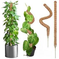 60-120CM Lankstus samanų stulpas augalams Kokoso pluošto Monsteryos augalo atrama Rankų darbo Kokoso laipiojimo DIY Sodo aksesuarai 70CM ruda