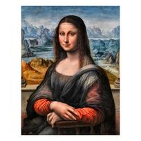 Mona Liza, laikanti katę Juokingi meno drobės paveikslai ant sienos Meno plakatai ir spaudiniai Da Vinci įžymūs meno paveikslai Cuadros 20x30cm black