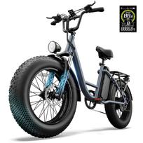 URLIFE E20 Pro 20 colių storapadis elektrinis dviratis suaugusiems 48V15.6Ah baterija 750W variklis visureigis lauko važiavimui E-kalnų dviratis mėlyna