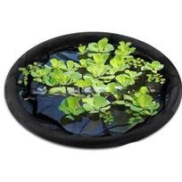 Reguliuojamas plaukiojantis tvenkinio apsauginis tinklas Apsauginis tinklas Sala Augalų apsauga Sodo dekoracija Sodo vandens tvenkinio reikmenys 80cm green