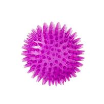 Squeaky Spiky Dog Toy Ball: Durable, Elastic, Teeth-Grinding Fun for Small & Large Dogs 9 cm violetinė