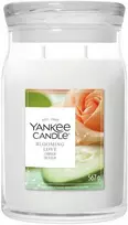 Yankee Candle Yankee Candle Signature Blooming Love Žvakė Didelė 567 g