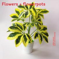 Žydintis pothos vazoninis augalas iš patvarios medžiagos vestuvių dekoravimui ir lauko naudojimui Yellow Schefflera