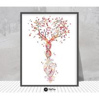 Kardiologija Kraujagyslių sistema Plakatas Akvarelė Angiograma Anatomija Angiologija Medicininė chirurgija Drobės tapyba Sienų menas Klinika Namų dekoras 40X60cm Unframed white