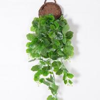 Epipremnum Aureum Žalias Augalas Lapas Sienos Pakabukas Su Šilko Gėlių Medžiaga Namų Dekoro Ir Vestuvių Dekoravimui Begonia Leaf  green