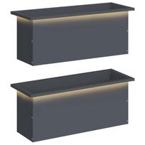 vidaXL Sodo vazonas su LED 2 vnt. Antracitas 30 x 80 x 30 cm Plienas
