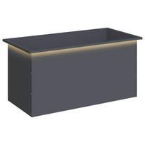 vidaXL Sodo vazonas su LED Antracitas 50 x 100 x 48 cm Plienas