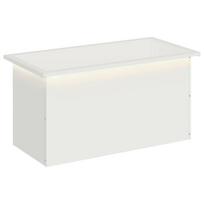 vidaXL Sodo vazonas su LED Balta 40 x 80 x 40 cm Plienas