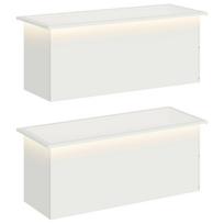 vidaXL Sodo vazonas su LED 2 vnt. Balta 40 x 100 x 40 cm Plienas