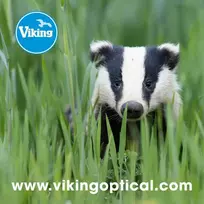 Valiklis Optikos valymo šluostė Viking - Barsukas