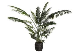 Dirbtinis augalas Palmė Areka, 200 cm