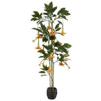 Dirbtinis augalas Datura-Brugmansija, 200 cm