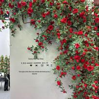 Dirbtinė rožių vijoklinė dekoracija arkoms, kiemams ir sienoms Austin Large Rose Vine - Red