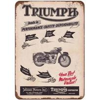 Senovinis Triumph Norton Motociklo Metalinis Skardinis Ženklas Retro Geležinis Sieninis Plakatas Barui Kavinei Garažui Namų Dekoras Metalinė Plokštelė 20x30cm（7.8x11.8inch） gray