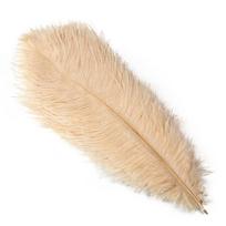 10 VNT Spalvingų Natūralių Stručio Plunksnų 20-50 CM 8-20 colių Rankdarbių Aksesuarams Vestuvių Stalo Puošybai Pluma 15-20cm 6-8inch beige