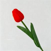 5-30Pcs Premium Tulip Artificial Flowers, Real Touch Tulip Bouquet, Decorative for Wedding Home Party Christmas Candy Birthday (Red,10pcs) red