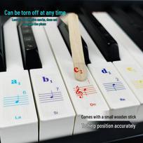 Transparent Piano Keyboard Stickers for 88/61 Keys - Simplified Notation & Solfege for Beginners gray