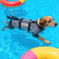 Shark Fin Style Dog Life Jacket Strong Buoyancy Pet Life Vest Creative Puppy Safety Vests  Boating XL pilka