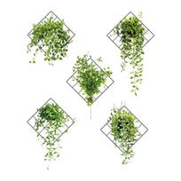 3D Vivid Green Plants Tinklelio sienų lipdukas Nuimamas „pasidaryk pats“ žalių lapų sienų lipdukas Namų dekoro freskos Popierinis dekoras miegamojo svetainei Vonios kambariui 85*105cm beige