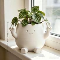 3D Printed Cute Character Plant Pot, Mini Succulent Flower Pot for Desktop Decor brown