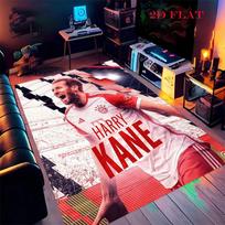 Harry Kane Vibes Poster Carpet Rug for Living Room Bedroom Home Sofa Decoration,Kids play Nonslip Floor Mat 40x60cm( 15x23in ) gray