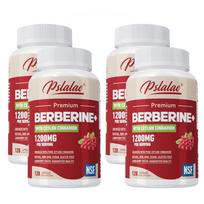 Pslalae - 1200mg Berberine with Ceylon Cinnamon Dietary Supplement - Weight Management 120*4