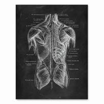 Žmogaus anatomijos meno kūriniai Medicinos klinika Sienos paveikslėlis Skeletas Organas Raumenų sistema Vintažinis drobės spaudinys Kūno ugdymo plakatas be rėmelio 30*40cm gray