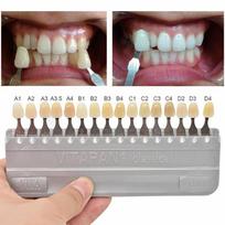 1 rinkinys Porcelianinis odontologas Odontologinė medžiaga Įranga Dantų balinimas Vita Pan Classial gray
