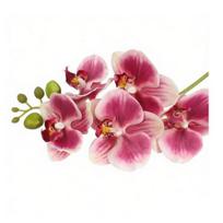 Realus lietimas Netikri orchidėjų žiedai Dirbtinio šilko Dirbtinė Phalaenopsis gėlė su 5 žiedų galvutėmis Namų interjero dekoravimui Biuro stalo puošmena Gėlių blue