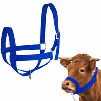 Nailoninis žirgo kamanas, tvirtas veršelių dresavimo lynas, jojimo reikmenys, karvės kamanas su pavadėliu, ūkininkavimo reikmėms headgear blue
