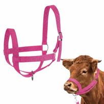 Nailoninis žirgo kamanas, tvirtas veršelių dresavimo lynas, jojimo reikmenys, karvės kamanas su pavadėliu, ūkininkavimo reikmėms headgear pink