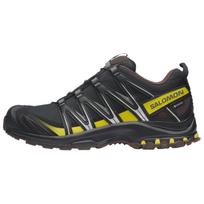 Salomon XA Pro 3D Gore-Tex Cress Green French Roast 44.5 black
