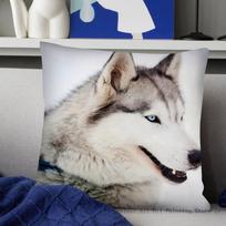 Animal Cute Siberian Husky Pillow Case Fashion Square Pillowcase Bedroom Sofa Room Ins Decoration Leisure Cushion Cover 40x40 16x16Inch brown