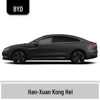 BYD Han Touch-Up Paint Pen: Xuan Kong Black & Xue Yu Bai Anti-Rust Scratch Repair Paint Pen Only black
