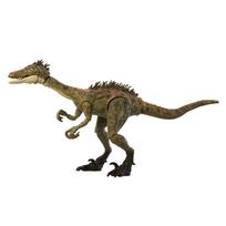 Mattel Jurassic World Hammond kolekcijos Troodono figūrėlė vaikams, judantis dinozauras žaislas, didelė, maždaug 12 cm ilgio, nuo 8 metų, žalia, JDJ11 brown