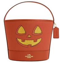 Coach 25 Metallic Logo Canvas And Leather Bucket Bag Women Handbags Gold Deep-Orange CW533-IMOY8 Basic Set (Bag+Dust Bag) brown