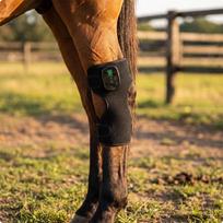 Horse Knee Recovery Wrap Targeted Leg Secure for Horses black