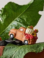 Sinsay - Pastatoma automobilio formos dekoracija su rudens motyvu - oranžinė
