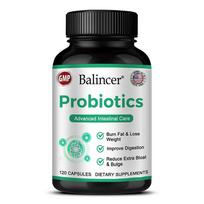 Probiotics Dietary Supplement, With Green Tea Extract, Prebiotic, 120 Capsules