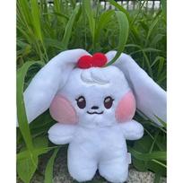 Jang Wonyoung Rei Liz Yujin Gaeul Minini Plush white
