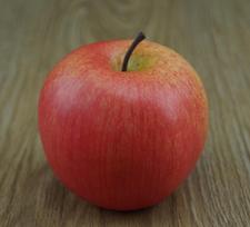Plastic Red Fuji and Red Delicious Fake Apple Display Decoration Prop brown