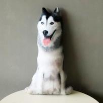 50cm Mielas Imitacinis Šuo Pliušinis Žaislas 3D Spausdinimas Iškamša Gyvūnas Šuo Pliušinė Pagalvė Iškamša Animacinis Pagalvėlė Vaikų Lėlė Namų Dekoras Dovana