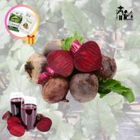 Organic Beetroot Seasonal Domestic Haenam Bulk Set 2+2kg Total 4kg 1 Box 4kg