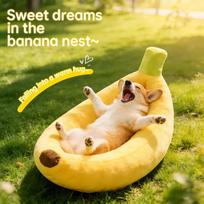 Corgi Radish Cozy Washable Pet Bed - Warm Nest for Small Dogs & Cats S: 50x30 cm yellow