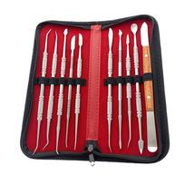 10 VNT Vaško drožybos įrankių rinkinys Nerūdijančio plieno dantų instrumentas Universalus rinkinys Dantų laboratorijos įranga Dantų įrankių rinkinys su PU laikiklio dėklu red