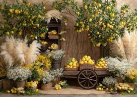 Summer Lemon Garden Backdrops Cake Smash Child Baby Photo Props Adult Kids Decors Yellow Tulip Photography Studio Backgrounds Polyester-240x180cm beige